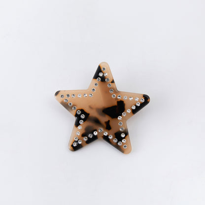 The Starry Clips in Tortoise